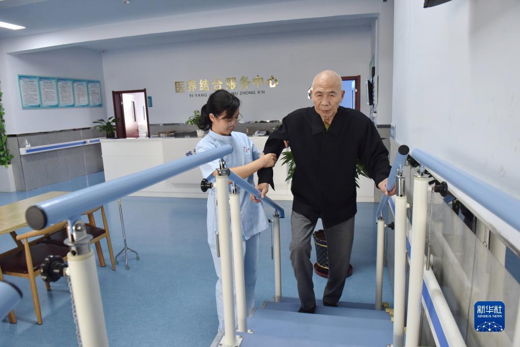 白菜彩金